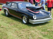 Black and Silver Vega